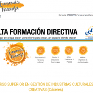 Taller “Financiación del sector creativo y cultural”  Curso Superior en Gestión de Industrias Culturales y Creativas, Cáceres, 11 de julio de 2017